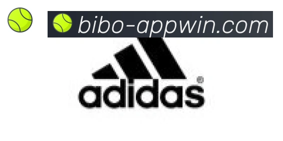 必博bibo官网体育合作伙伴